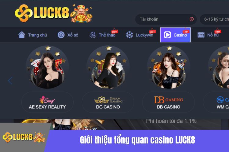 Giới thiệu tổng quan casino LUCK8